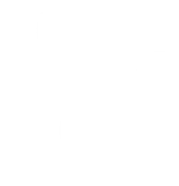 pawvolta site icon logo white