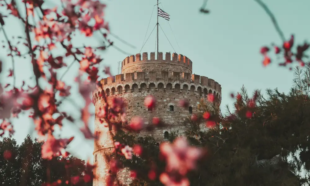 pawvolta thessaloniki