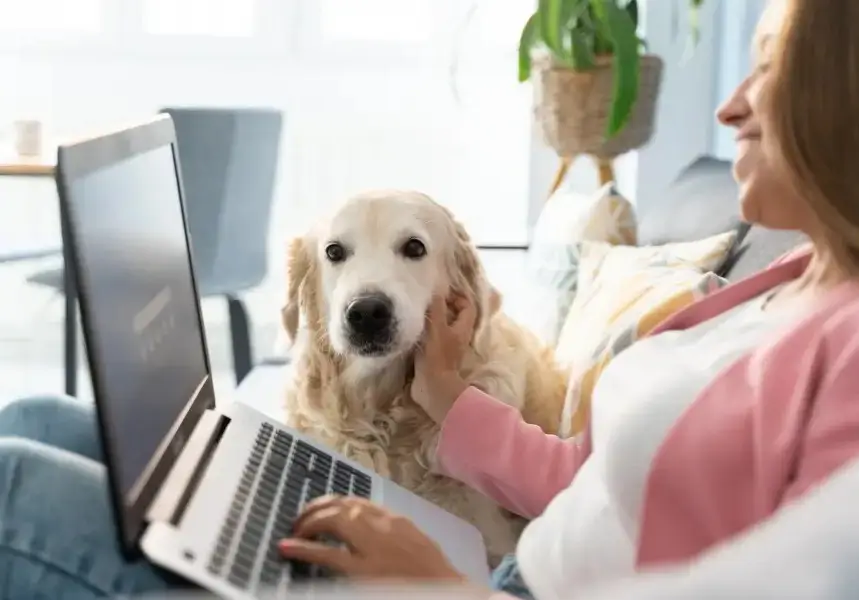 pawvolta psifiaki enimerosi skylos Γυναίκα χρησιμοποιεί laptop στον καναπέ ενώ χαϊδεύει τον σκύλο της - PawVolta Ψηφιακή Καινοτομία
