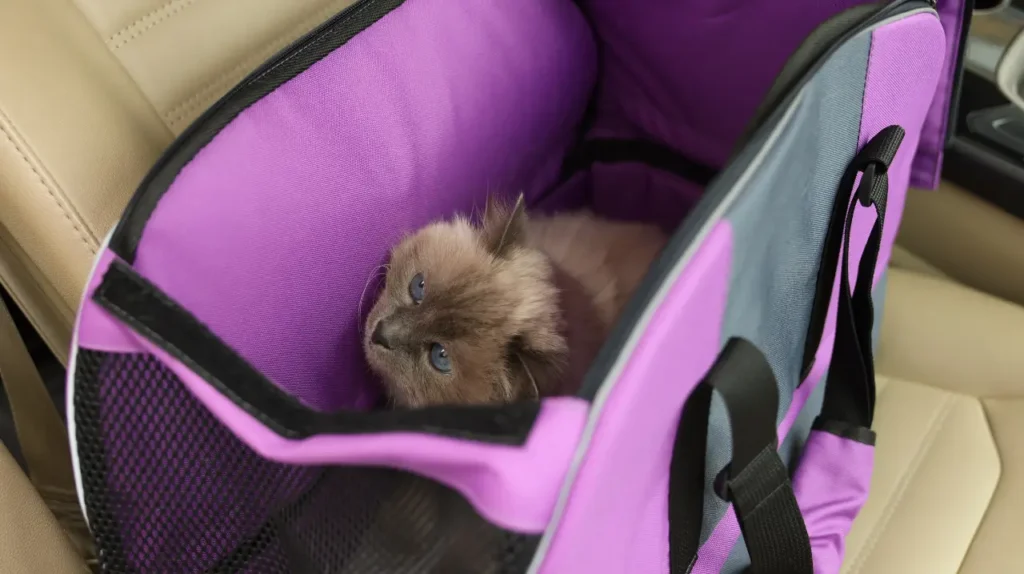 cat travel carrier car seat pawvolta