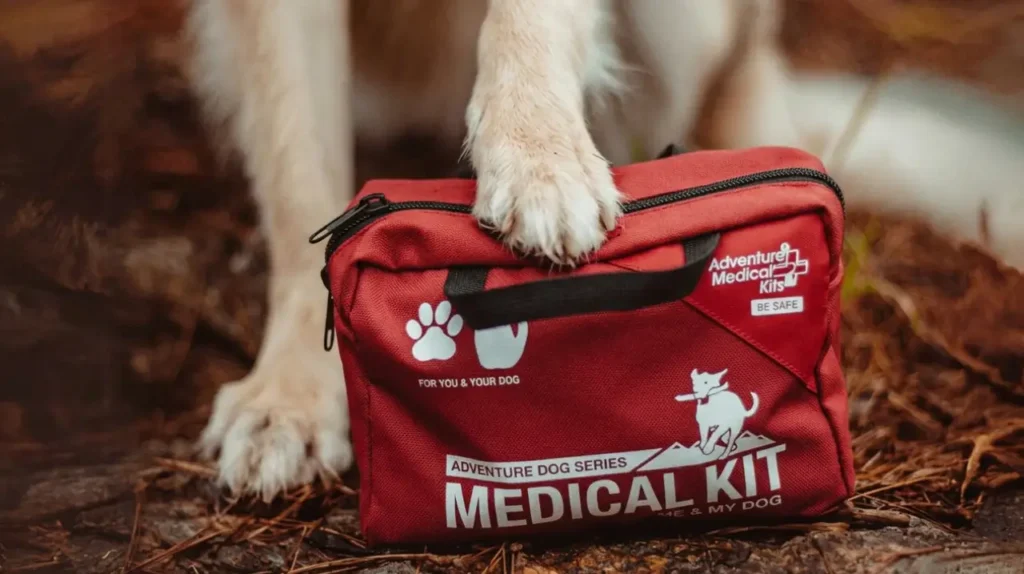 Σκύλος με το πατούσι του πάνω σε κόκκινο medical kit για σκύλους σε εξωτερικό χώρο