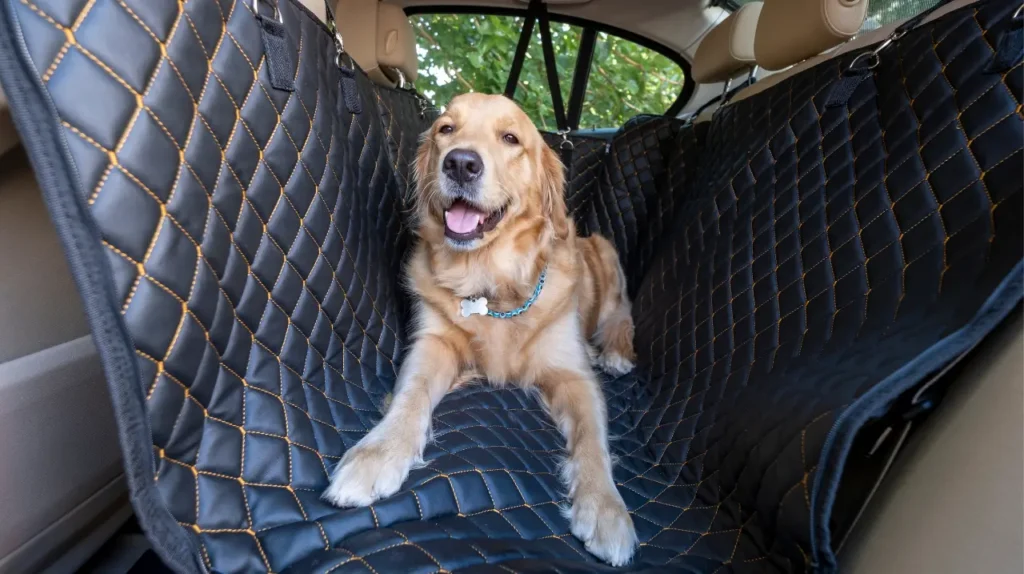 Χαρούμενο Golden Retriever ξαπλωμένο στο πίσω κάθισμα αυτοκινήτου πάνω σε μαύρο προστατευτικό κάλυμμα.