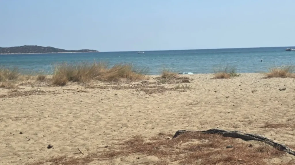 schinias sandy beach landscape attica Η αμμώδης παραλία του Σχοινιά με χαμηλή βλάστηση και τη θάλασσα στο βάθος