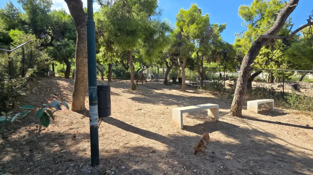 Σκιερός περιφραγμένος χώρος με δέντρα, παγκάκια και σκύλο στο πάρκο σκύλων στον Λόφο Λαμπράκη